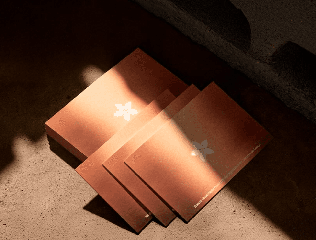 Isla Nord branding